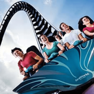 Best Cedar Point Roller Coasters, Ranked: Rating Each Ride at the Park -  Thrillist