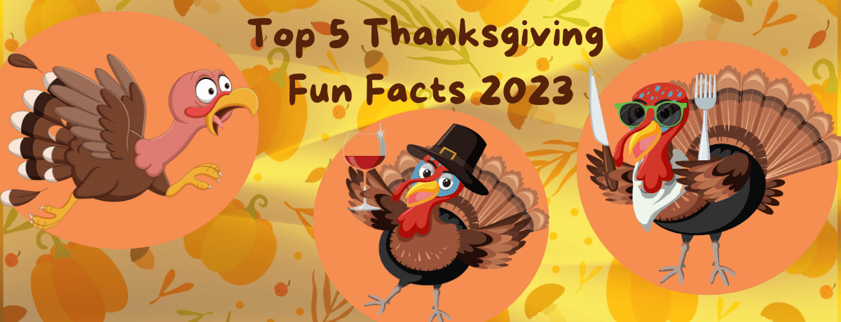 History Of Thanksgiving Facts: From The First Celebration To Why Turkey Is  On The Menu